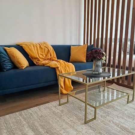 Mountain Breeze Luxury Apartment Ac & Parcare Privata Brasov Luaran gambar