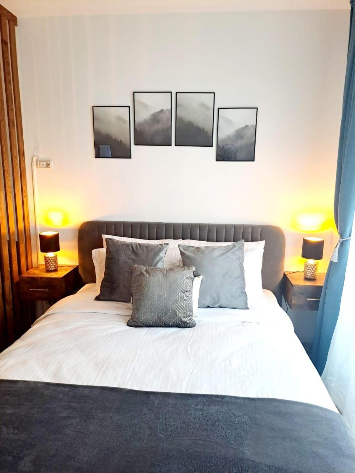 Mountain Breeze Luxury Apartment Ac & Parcare Privata Brasov Luaran gambar