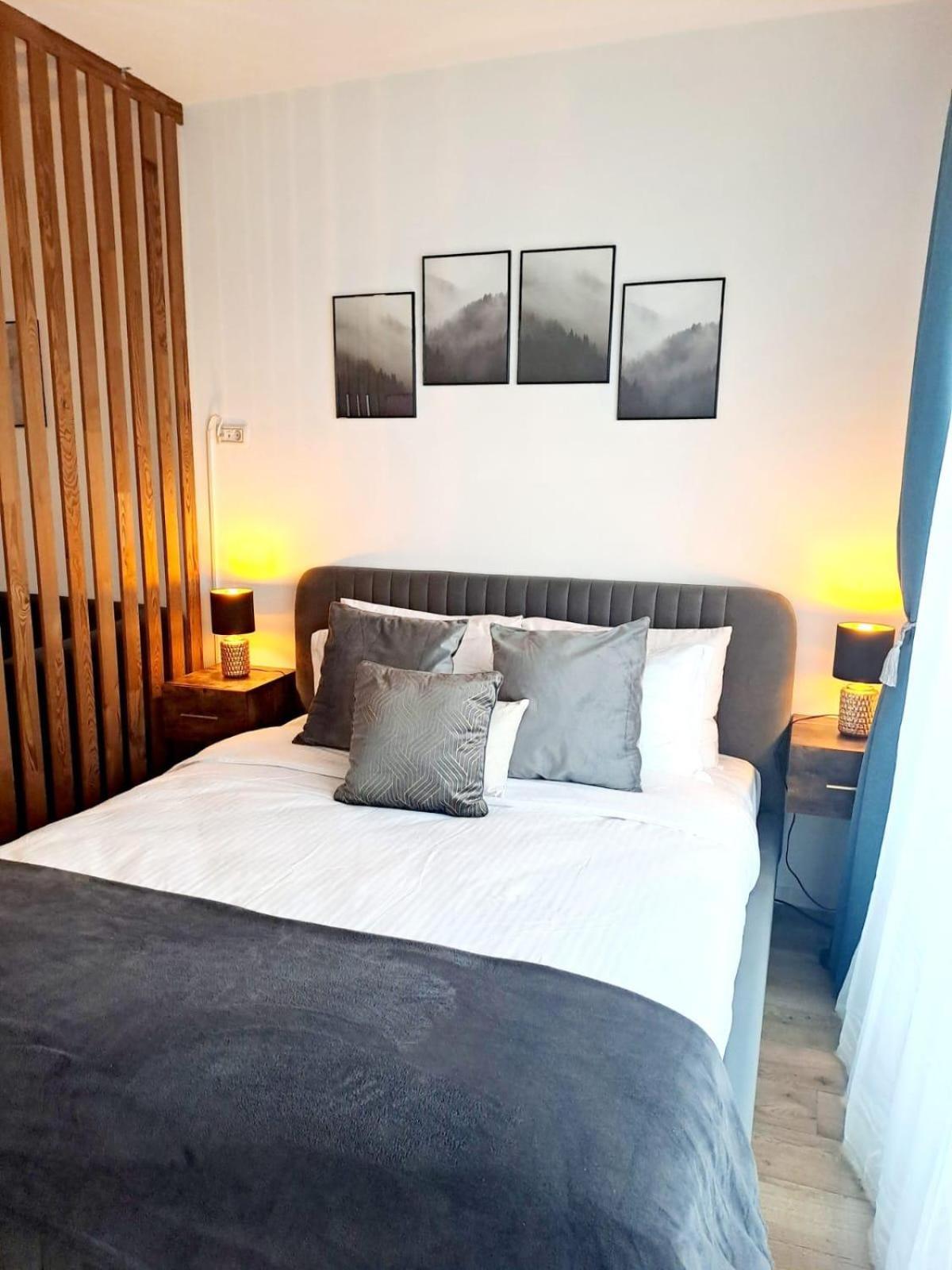 Mountain Breeze Luxury Apartment Ac & Parcare Privata Brasov Luaran gambar